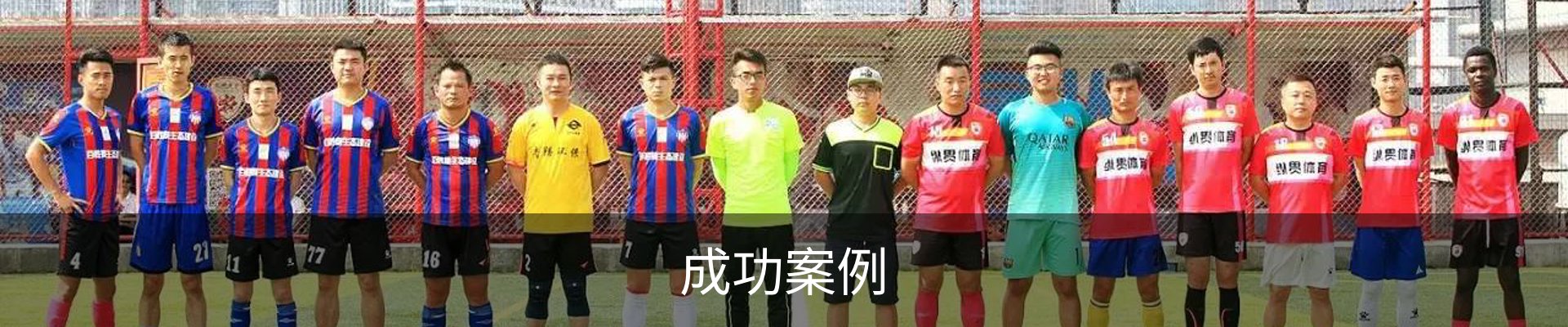 成功案例