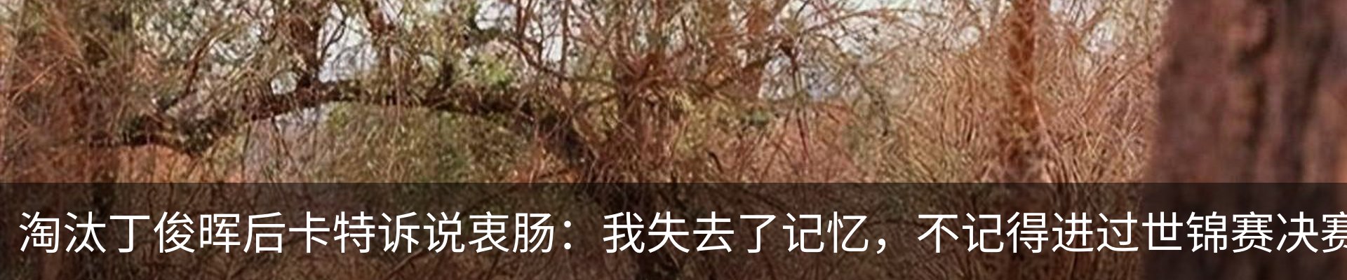 资讯动态